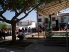 Dia de Andalucia 081